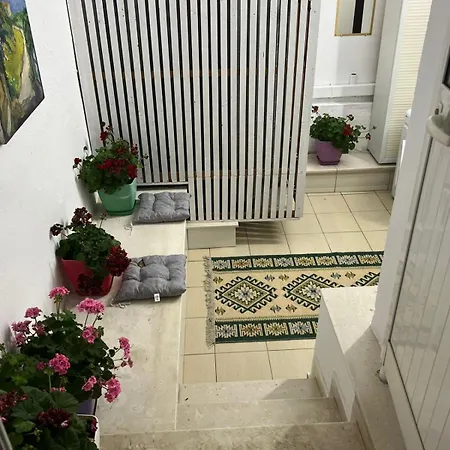 Homestay Vila-tobi Tirana